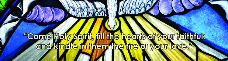 Pentecost Homily year C by Fr. Jude Ifezime, C.S.Sp